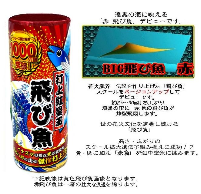 BIG飛び魚（赤）